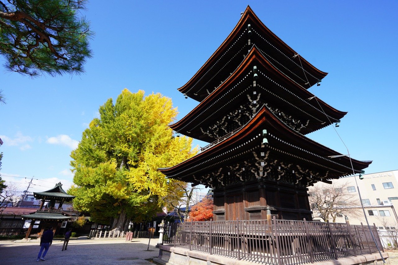 ⛩️ 히다 고쿠분지(히다 코쿠분지) 이미지 1